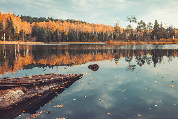 istock Beautiful forest and old wooden pier on tranquil lake 521824043