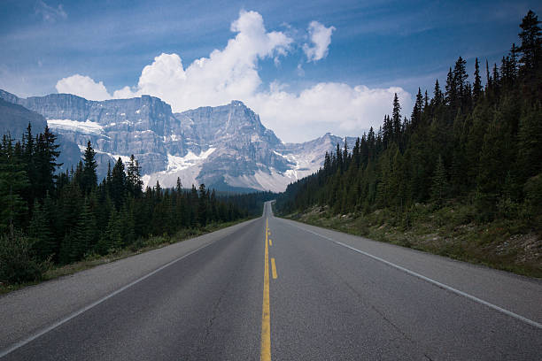 istock The Road to Crowfoot Mountain 521824103