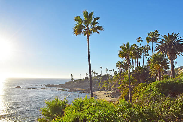 istock Laguna Beach Coastline & Gardens 521824583