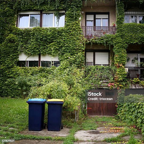 House Covered With Ivy Stock Photo - Download Image Now - Architecture, Brick, Brick Wall