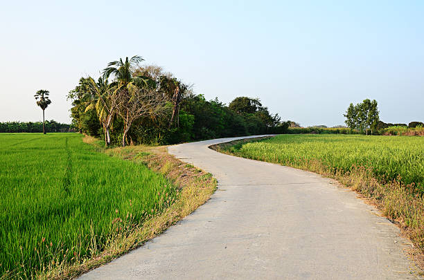 istock curve of the road 521829827
