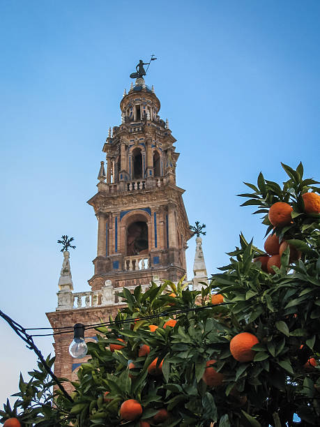 istock Carmona, Andalusia, Spain 521830871