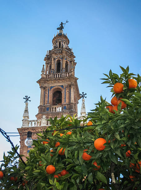 istock Carmona, Andalusia, Spain 521831351