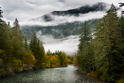 Low clouds and changing colors are a sure sign that fall is in full swing in the North Cascade mountains in this idyllic scene on the Skagit River in Washington state.