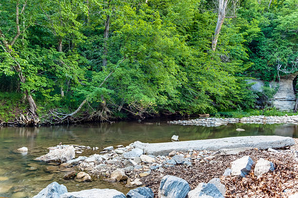 istock Another Picture of Stream and Rocks 521832475