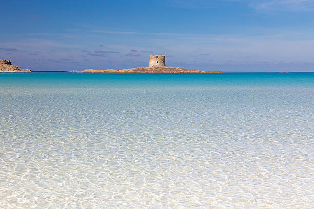 Pelosa beach, Sardinia, Italy. Beautiful turquoise blue mediterranean Pelosa beach near Stintino,Sardinia, Italy. sardinia stock pictures, royalty-free photos & images