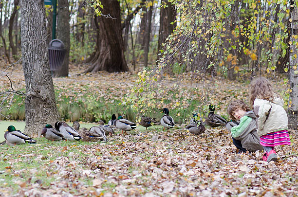 istock Do not frighten the duck 521833363