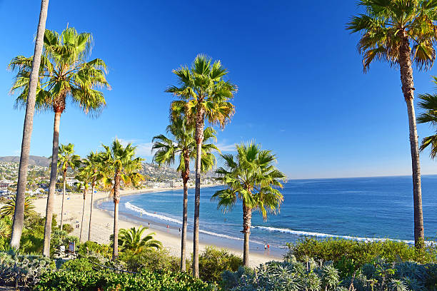 istock Laguna Beach Coastline & Gardens 521833511