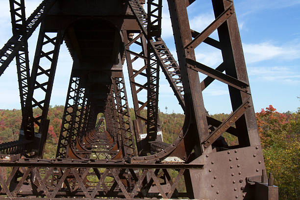 istock Kinzau Bridge Skywalk and State Park 521848675