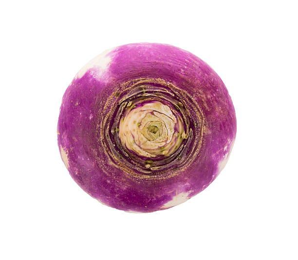 ensemble de tête navet violet sur fond blanc-image - turnip photos et images de collection