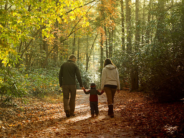 istock Family Walking In Woods 521851025