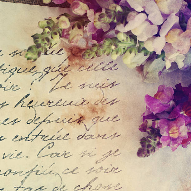 istock Rustic bouquet of snapdragon (Antirrhinum majus) on the old lett 521852449