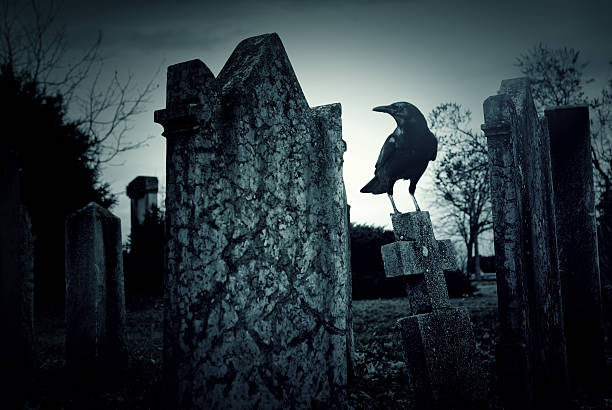 cmentarz nocy  - stone coffin zdjęcia i obrazy z banku zdjęć