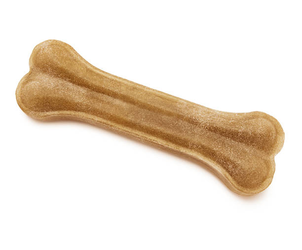 raw nascondi osso per cani - dog animal bone dog bone dog food foto e immagini stock
