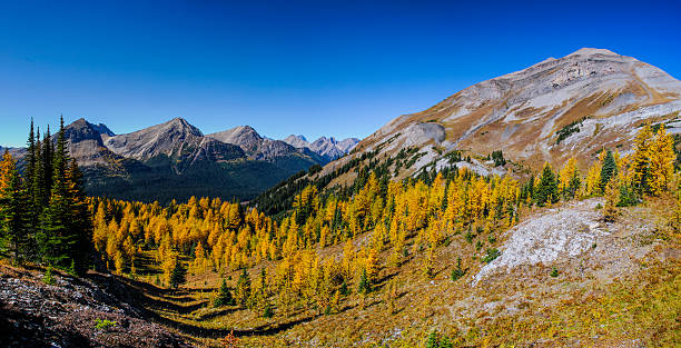istock Beautiful mountain landscapes in Autumn 521854713