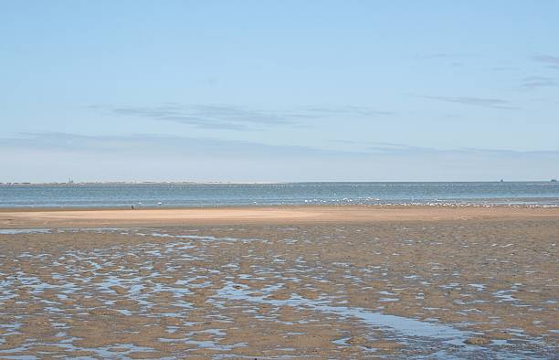 istock Lagoon of Walvis Bay, Namibia, Africa 521855007