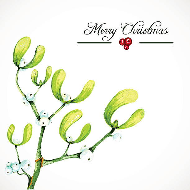 ilustrações, clipart, desenhos animados e ícones de artístico em aquarela fundo de natal com mistletoe branch - vector branch leaf affectionate