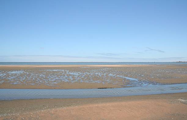 istock Lagoon of Walvis Bay, Namibia, Africa 521855101