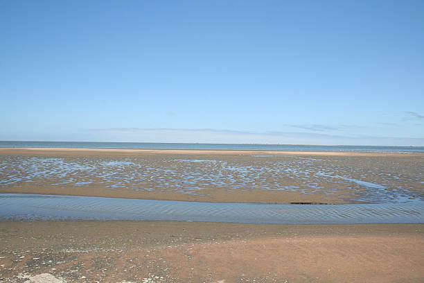 istock Walvis Bay, Lagoon, Namibia, Africa 521869971
