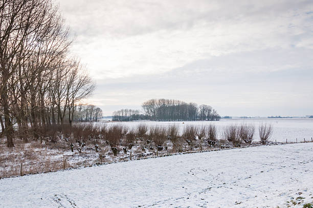 istock Rural winter landscape in the Netherlands 521870231