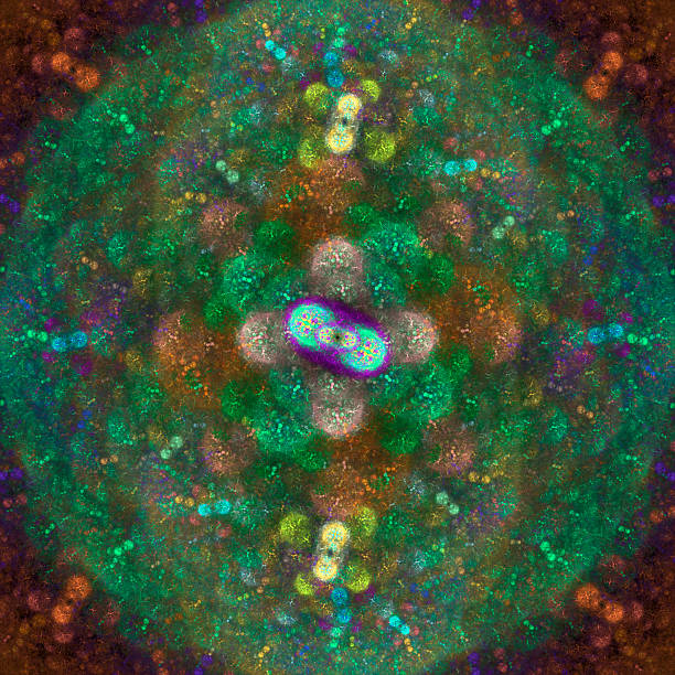 istock Symmetrical growth of bacteria 521870563
