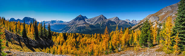 istock Beautiful mountain landscapes in Autumn 521872691