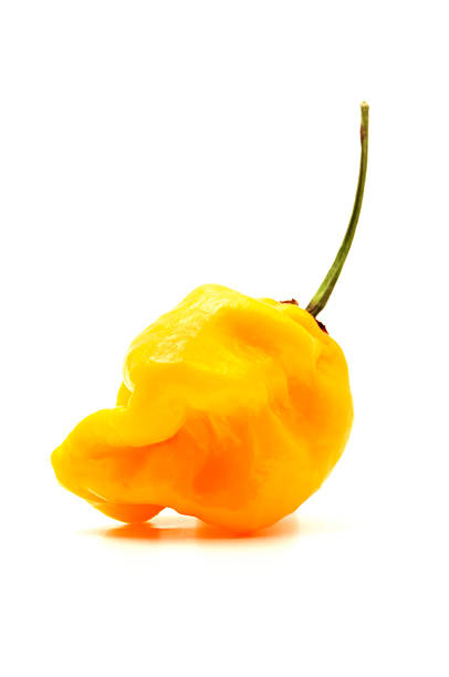 istock Yellow Habanero 521872813