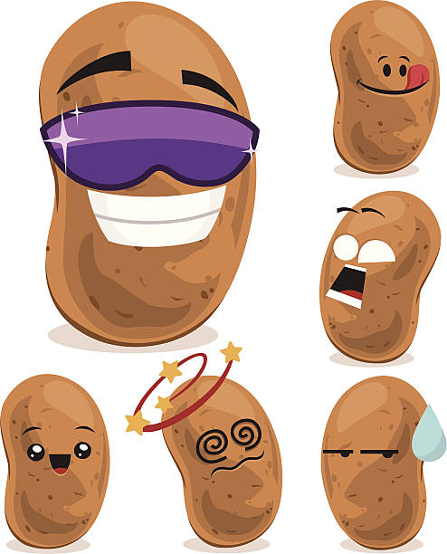 ilustraciones, imágenes clip art, dibujos animados e iconos de stock de conjunto de dibujos animados de la patata - raw potato isolated vegetable white background