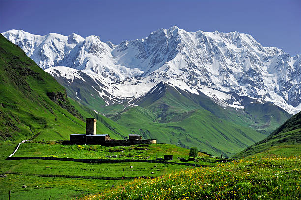 istock Caucasus Shkhara mountain seen from Ushguli village 521874203
