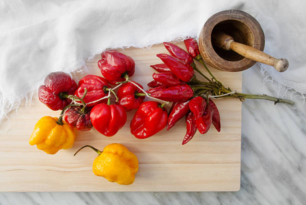 Dried red and yellow chili peppers stock photo