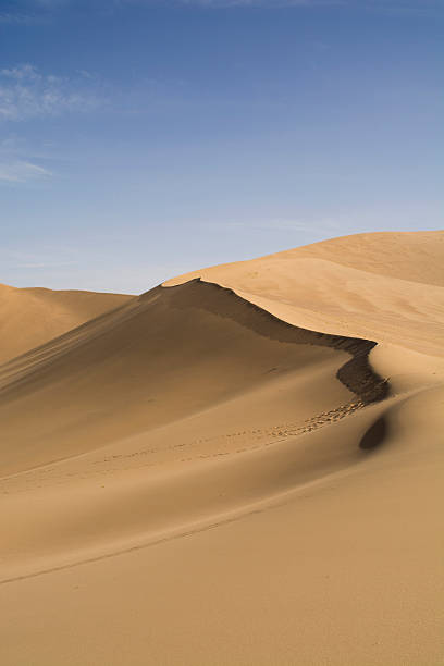 Desert landscape Desert landscape thar desert stock pictures, royalty-free photos & images