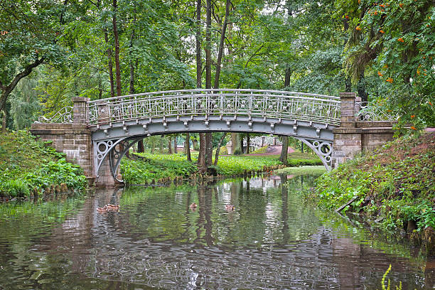 istock Old bridge over water in the palace park 521877127