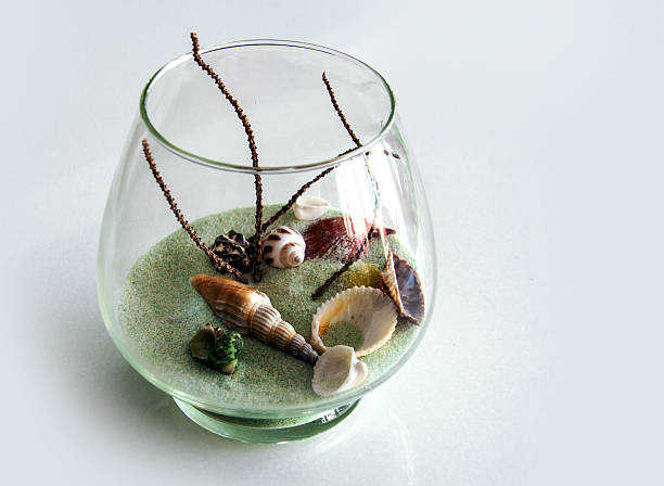 istock shell sand in glass for decoration 521888793