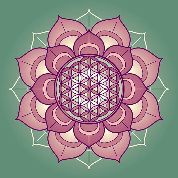 lotus мандала с цветок жизни - human heart red vector illustration and painting stock illustrations