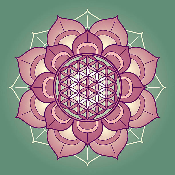 istock Lotus mandala with flower of life 521889661