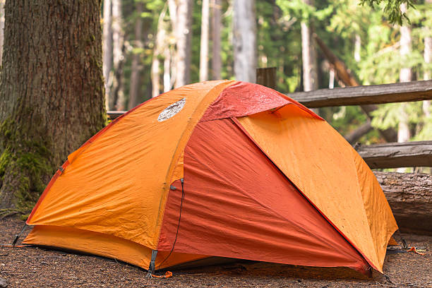 istock Tent in the Rain 521890039