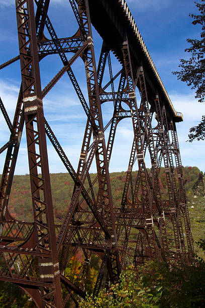 istock Kinzau Bridge Skywalk and State Park 521891015