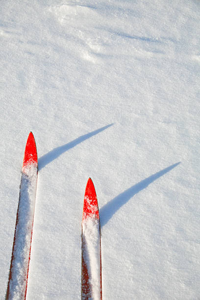 istock Cross Country Skiing, Barrie, Ontario, Canada 521894861