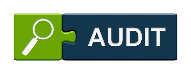 Puzzle Button Audit
