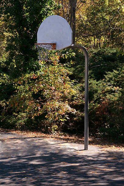 istock Basket Ball In the Park 521907105