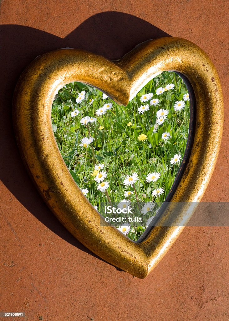 Heart of daisies A golden wooden heart shaped frame full of daisies in a green meadow. The shadow repeats the shape of the heart on the floor. Daisy Stock Photo