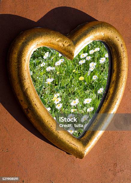 Heart Of Daisies Stock Photo - Download Image Now - Daisy, Flooring, Focus on Shadow