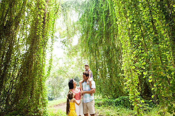 istock Latin family talking in jungle 521909341
