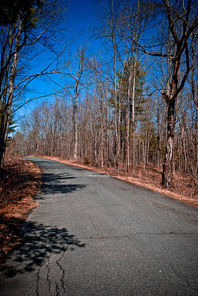 istock Winding Road through the woods on a beautiful spring afternoon. 521910679