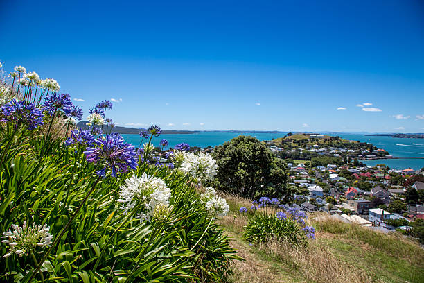Mount Victoria Reserve, Devonport, New Zealand