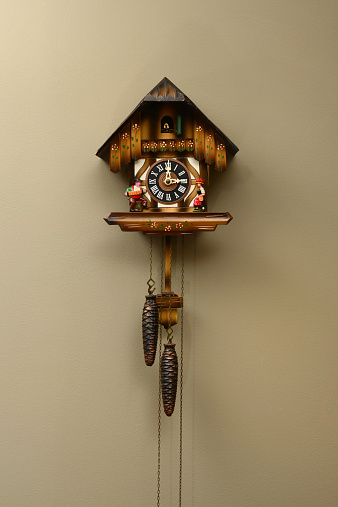 A traditional mechanical German wooden cuckoo clock with pendulum and weights.