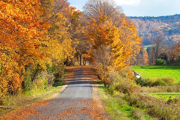 Photo of Peaceful Country Road, Autumn 2014
