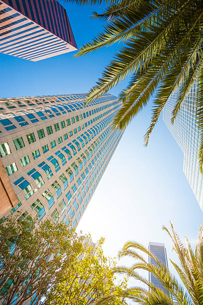 istock Downtown Los Angeles California 521912839