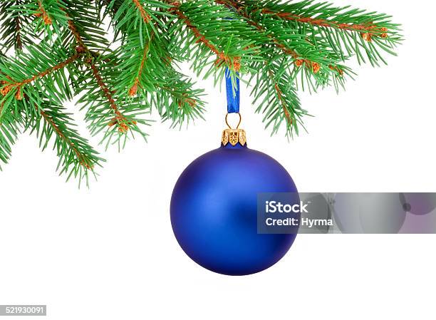 Christmas Blue Ball Hanging On A Fir Tree Branch Isolated Stock Photo - Download Image Now