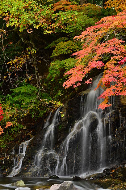 istock Autumn Colors in Northern Japan 521930145
